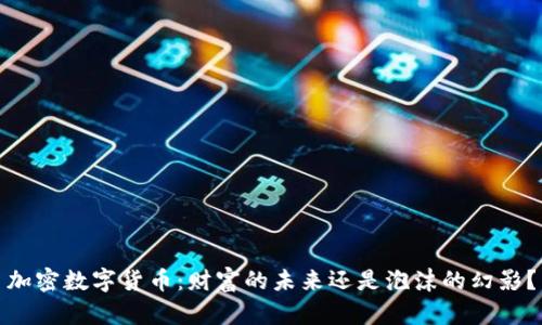 加密数字货币：财富的未来还是泡沫的幻影？