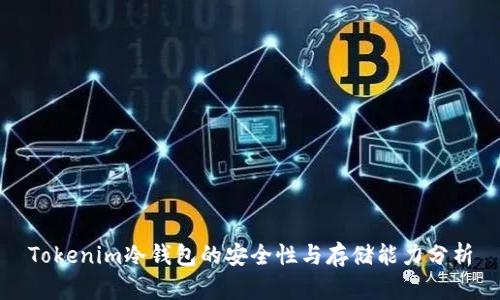Tokenim冷钱包的安全性与存储能力分析
