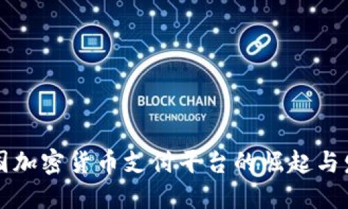 韩国加密货币支付平台的崛起与发展