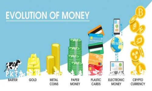 PKT加密货币：揭秘未来数字资产的新选择