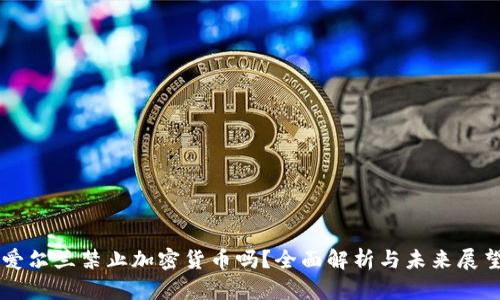 爱尔兰禁止加密货币吗？全面解析与未来展望