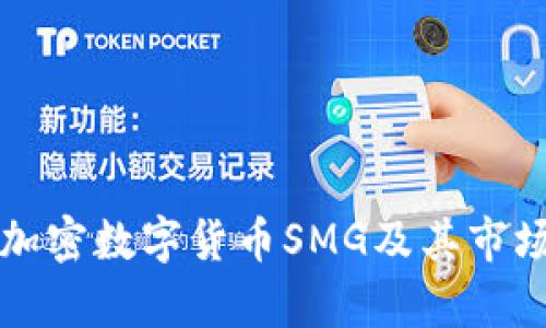 理解加密数字货币SMG及其市场前景