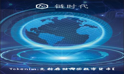 Tokenim：支持存储哪些数字货币？