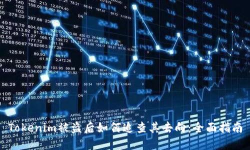Tokenim被盗后如何追查其去向：全面指南