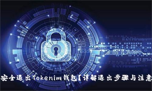 如何安全退出Tokenim钱包？详解退出步骤与注意事项