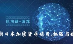 深度剖析日本加密货币项目：机遇与挑战并存