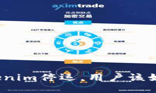 如果Tokenim停运，用户该如何应对？