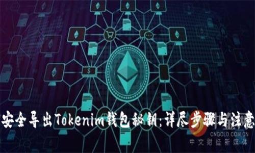 如何安全导出Tokenim钱包秘钥：详尽步骤与注意事项