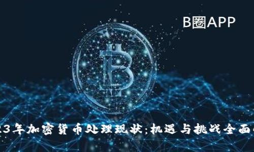 2023年加密货币处理现状：机遇与挑战全面解析