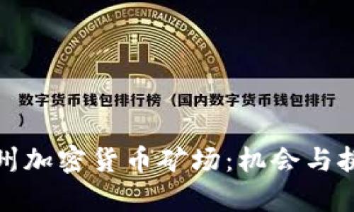揭秘贵州加密货币矿场：机会与挑战并存