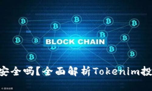 投资Tokenim安全吗？全面解析Tokenim投资风险与机遇