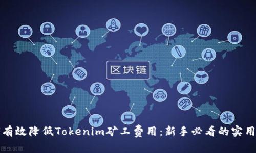 如何有效降低Tokenim矿工费用：新手必看的实用指南
