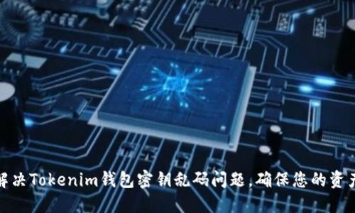 如何解决Tokenim钱包密钥乱码问题，确保您的资产安全