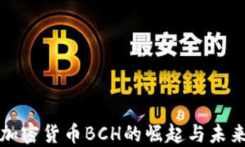 
揭秘加密货币BCH的崛起与未来发展