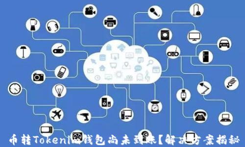 
币转Tokenim钱包尚未到账？解决方案揭秘