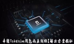 币转Tokenim钱包尚未到账？解决方案揭秘