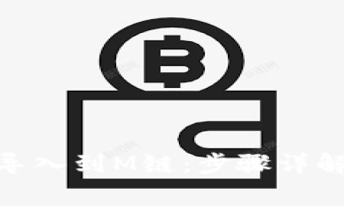 如何将TokenIM导入到M链：步骤详解与常见问题解答