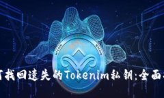 如何找回遗失的Tokenim私钥：全面指南
