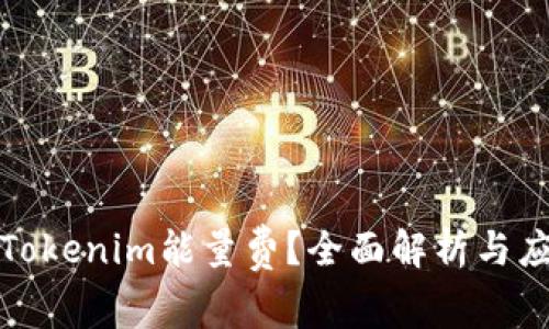 什么是Tokenim能量费?全面解析与应用前景