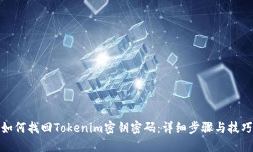 如何找回Tokenim密钥密码：详细步骤与技巧