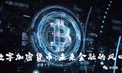 SNK数字加密货币：未来金融的风口浪尖