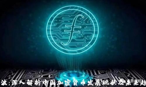 
李波：深入解析中国加密货币发展现状及未来趋势