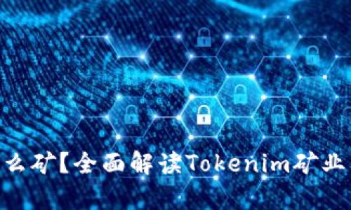 Tokenim是什么矿？全面解读Tokenim矿业及其投资前景