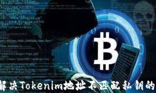 
如何解决Tokenim地址不匹配私钥的问题？