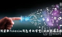 如何获取Tokenim钱包中的带