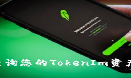 如何快速查询您的TokenIm资产：全面指南