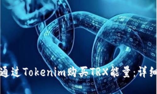 如何通过Tokenim购买TRX能量:详细指南