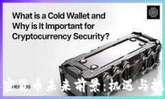   全球加密货币未来前景：机遇与挑战并存