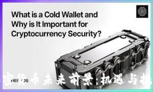 全球加密货币未来前景:机遇与挑战并存