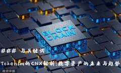 ### 与关键词Tokenim的CNX解析