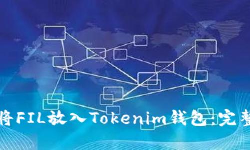 如何将FIL放入Tokenim钱包：完整指南
